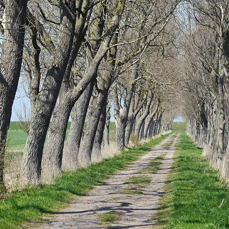 Herbers Südbrookmerland